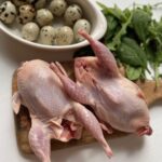 Перепела домашние